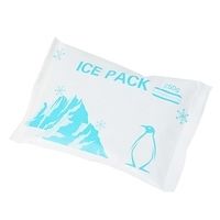 Акумулятор холоду Ice Pack 2x250 мл